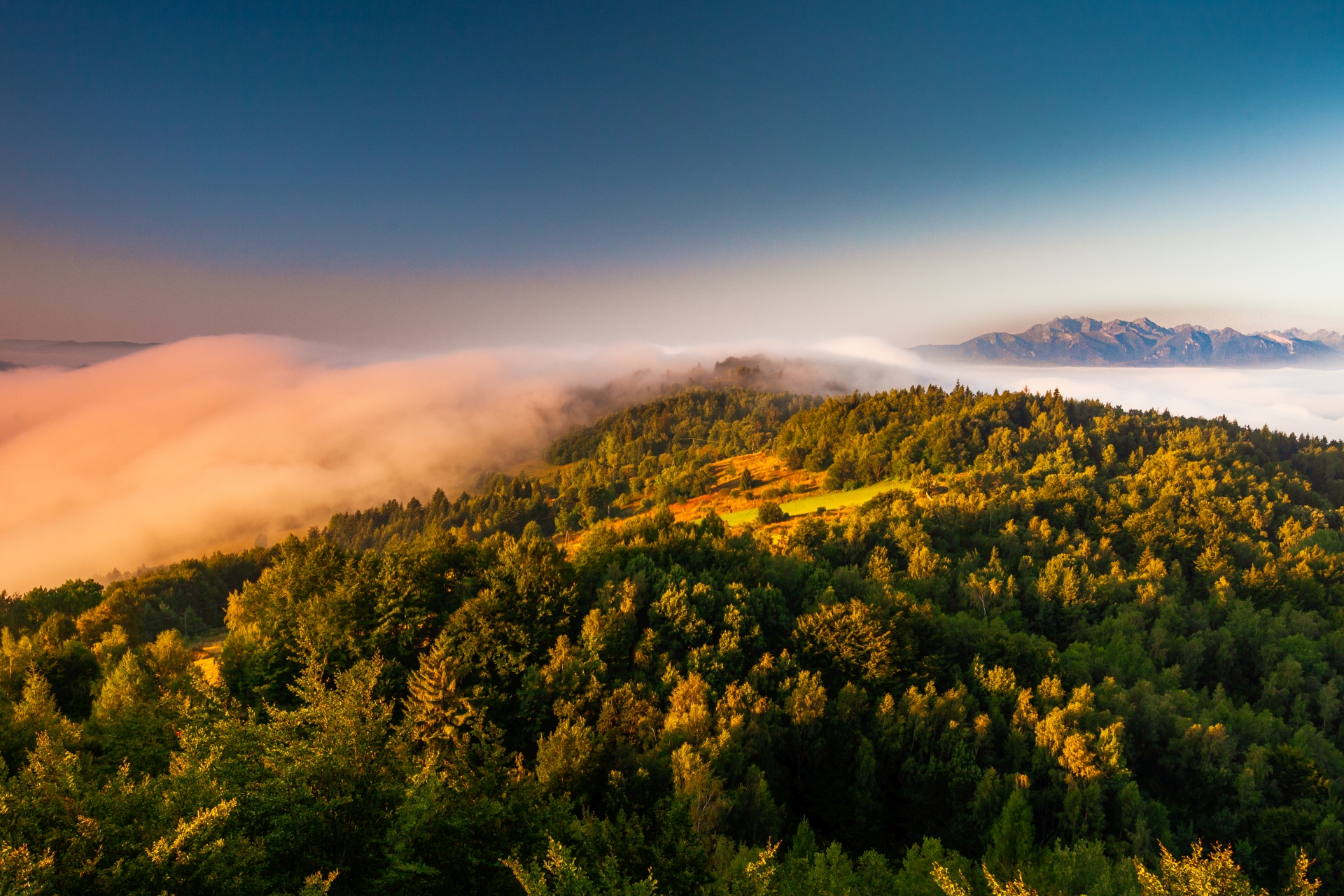 Wieża widokowa Koziarz Tatry Inwersja Las Mgła